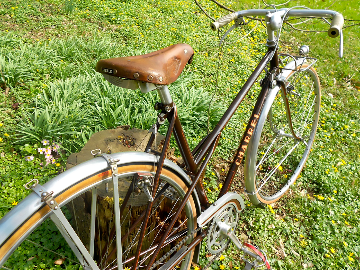 trois quarts arrière vélo mixte Paul Charrel